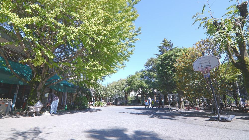 広い園庭