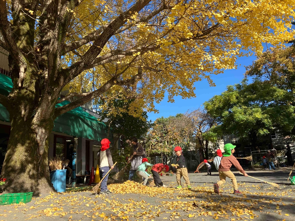落ち葉がたくさん落ちてきたよ！のブログをアップしました。